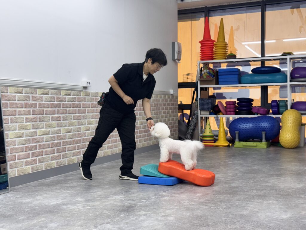 독피트니스 운동 장면