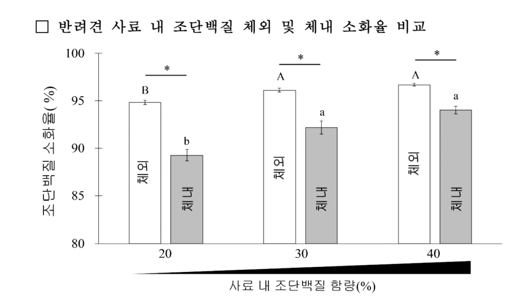 노령견 단백질 소화율 예측 방법 개발
