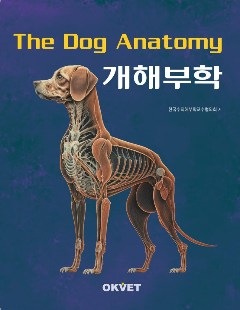 개해부학